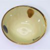 美濃　二色水玉　5寸丼/Mino-yaki 15cm dot bowl/Japan - 画像 (3)